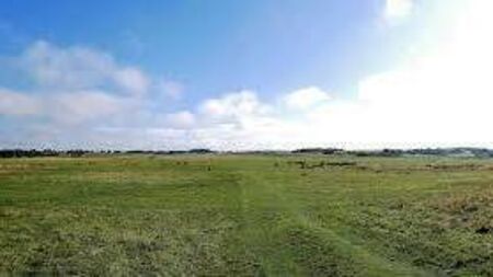 Council has no further role in Curragh Plains management plan