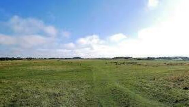 <p>Curragh Plains</p>