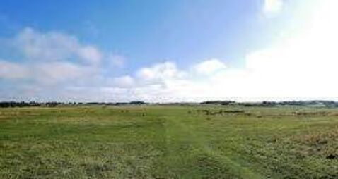 Council has no further role in Curragh Plains management plan 