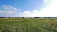 Council has no further role in Curragh Plains management plan 