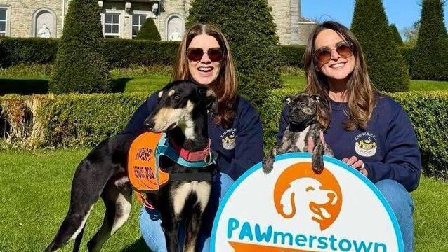 Kildare Rescue Tails: Dog festival at Palmerstown