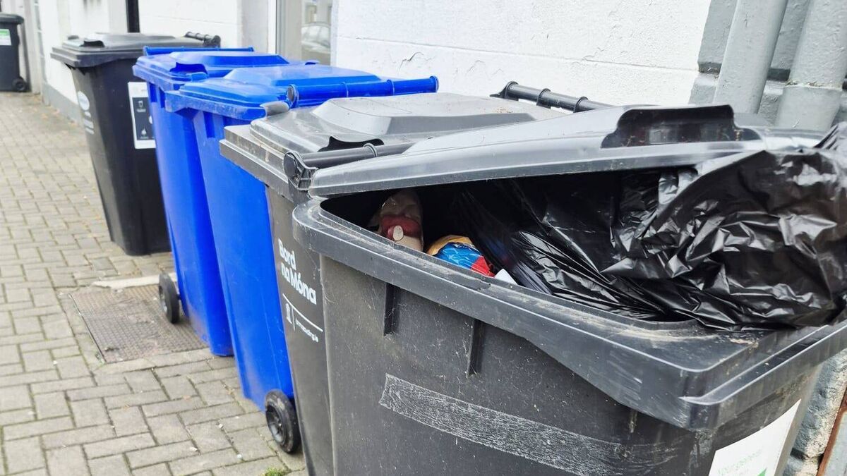 Bins blocking footpaths in this Kildare town