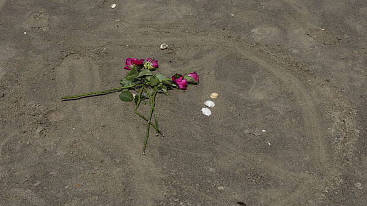 Teenage girl who died while swimming in Dublin is named