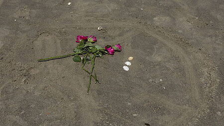 Teenage girl who died while swimming in Dublin is named
