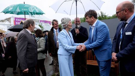 Kildare gardener's flowers get Chelsea Flower Show recognition