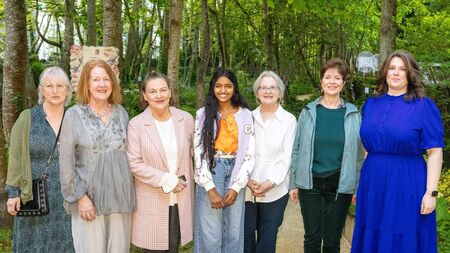 Successful Naas art exhibition comes to close today
