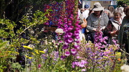 What's on and who is at Bloom this year?