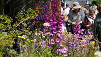 What's on and who is at Bloom this year?