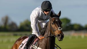 <p>Constitution Hill is entered in the Comer Group International Irish St Leger at the Curragh during the Irish Champions Festival next September Photo: ©INPHO/Morgan Treacy</p>