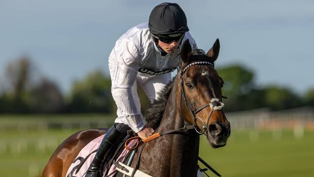Constitution Hill eyes Curragh appearance in Irish St Leger