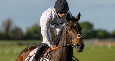 Constitution Hill eyes Curragh appearance in Irish St Leger
