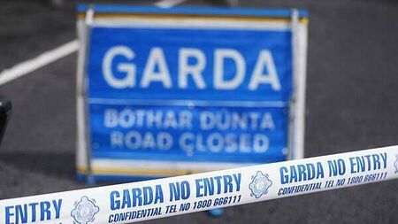 Man (20s) dies after single-vehicle crash in Co Dublin