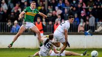 The Kingdom set to come to Kildare
