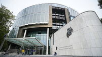 Family 'severely divided' by son's killing of allegedly abusive mother, court hears