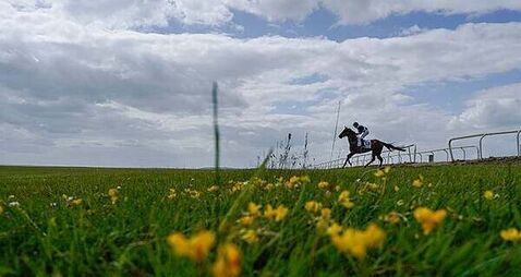 Two caravans parked near the Curragh Racecourse attracting others, court hears