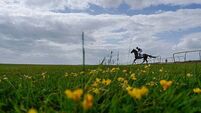 Two caravans parked near the Curragh Racecourse attracting others, court hears