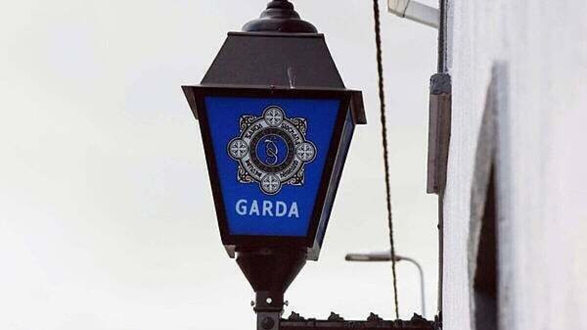 Garda watchdog investigating death of man in custody