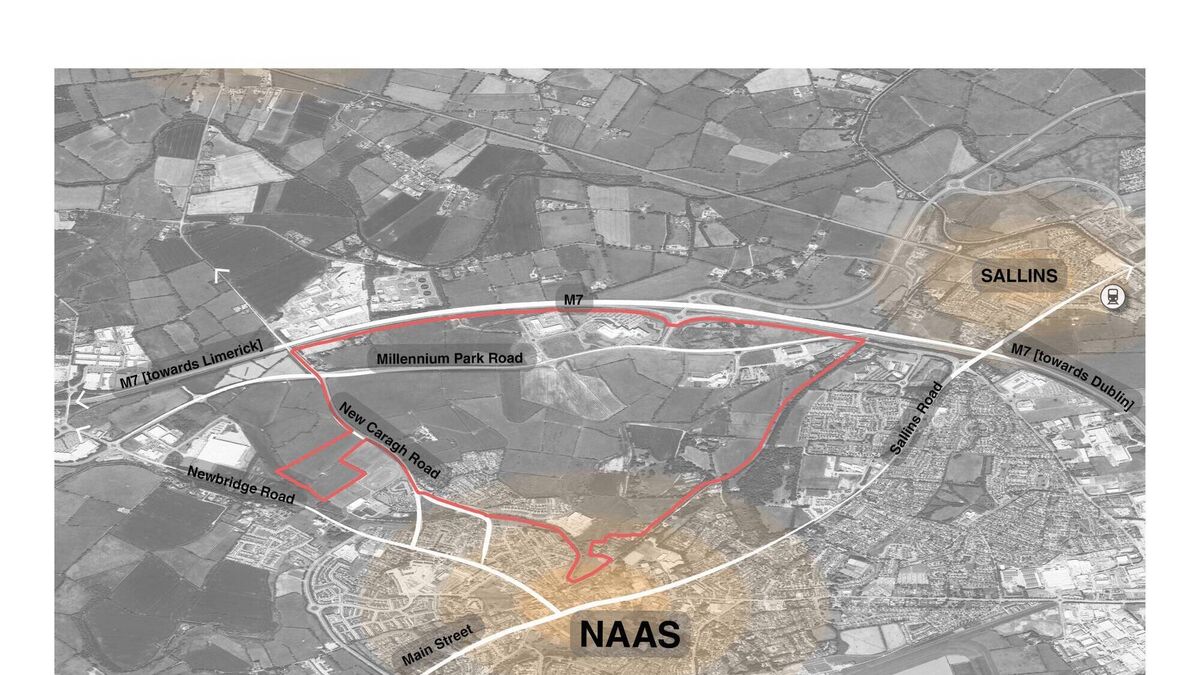 Naas expansion plan unveiled