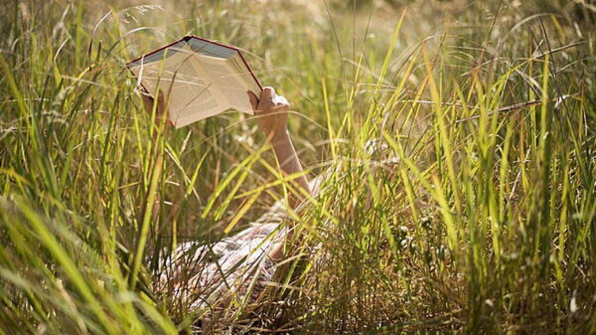 Nine brilliant books to put on your summer reading list