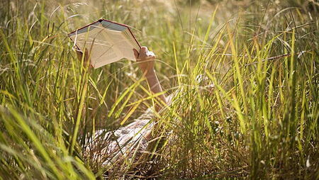Nine brilliant books to put on your summer reading list