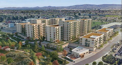 Council gives green light for 618 Dublin apartments despite rodent concerns