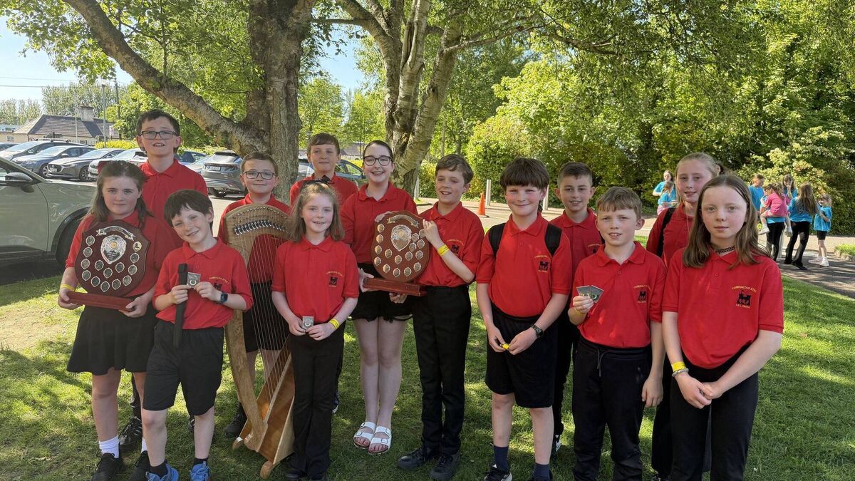 Athy comhaltas taste success at Kildare Fleadh