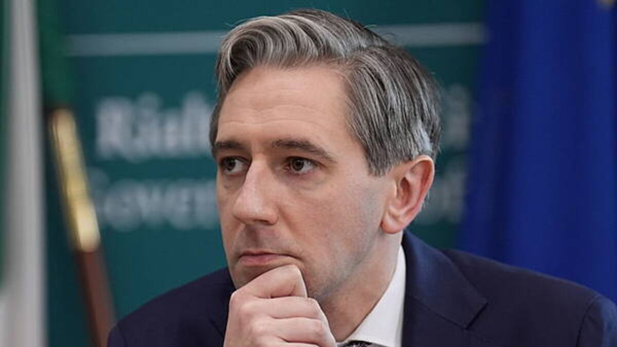 Derelict Property Tax will have positive impact, Irish Planning Institute says