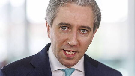 Short-term lets register ‘took longer than it should have’, Tánaiste says