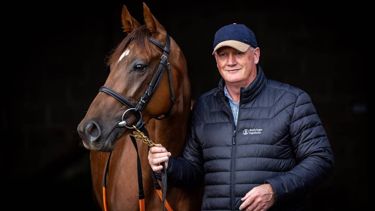McCreery enjoys second place with 16/1 shot at Royal Ascot