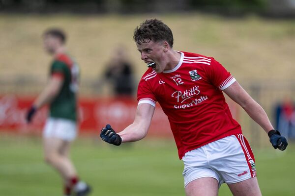 Jack Dooley celebrates his goal late in the first-half Photo: James Lawlor Jack Dooley celebrates his goal late in the first-half Photo: James Lawlor