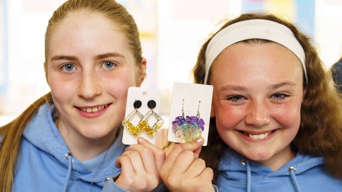 Kildare schoolkids win national award for craft business