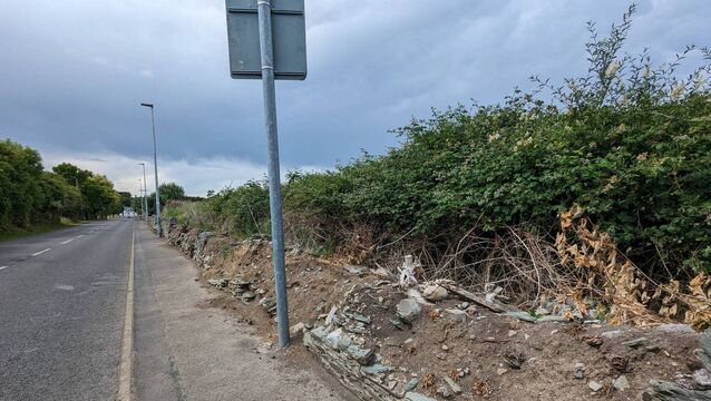 <p>The wall in Ballitore</p>