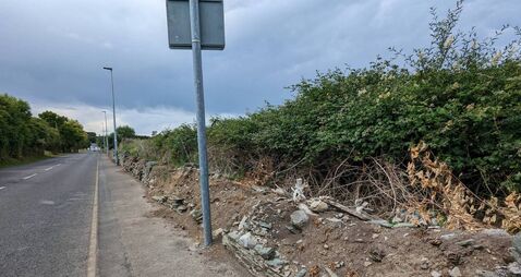 Continued delays to repair damaged wall in Kildare