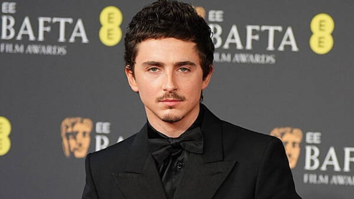 Timothee Chalamet and Selena Gomez to star in animated romantic comedy Not Alone