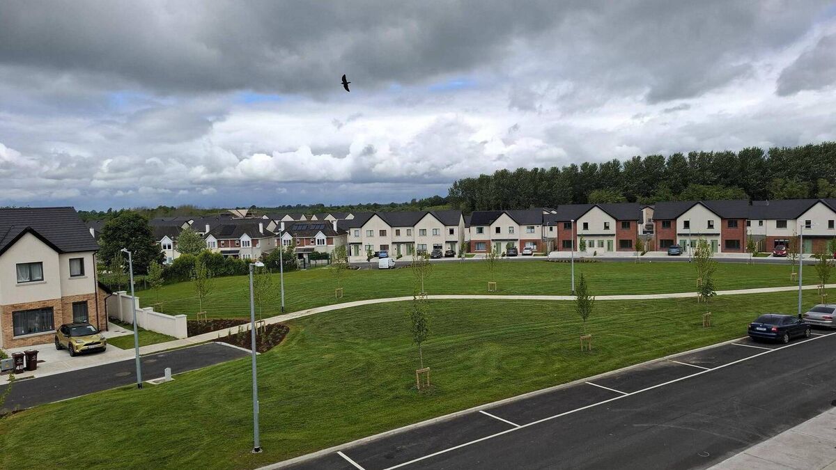 Social housing body buys 50 homes in Athy