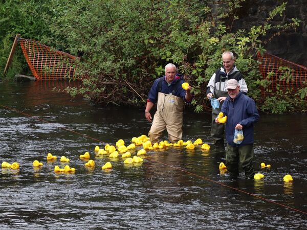 Ross Lloyd, Conor Williams and Joe O'Connor lifting winning ducks. Ross Lloyd, Conor Williams and Joe O'Connor lifting winning ducks.