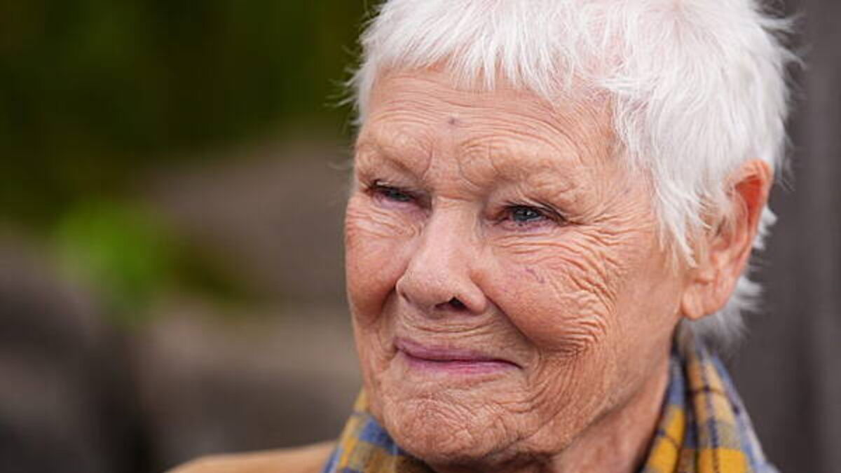 Judi Dench becomes patron of Leinster Regiment Association