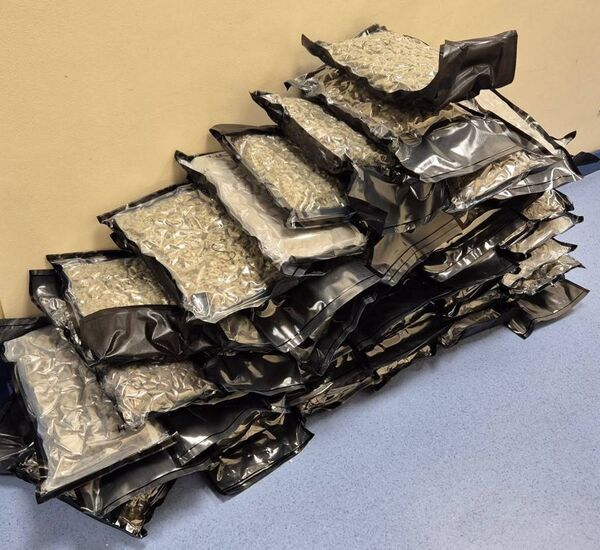 The cannabis seized in Kildare The cannabis seized in Kildare