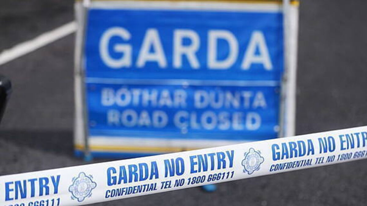 Cyclist (30s) dies in hospital following crash in Kilkenny
