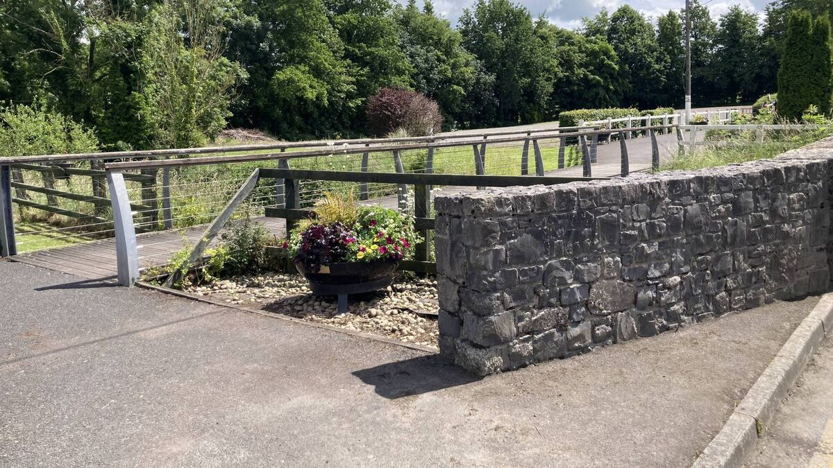 Kildare community comes together for village clean-up 