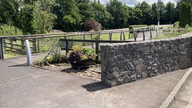 Kildare community comes together for village clean-up 