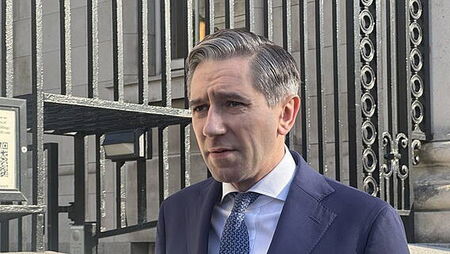 Tánaiste defends lower rate of VAT for food businesses and hairdressers