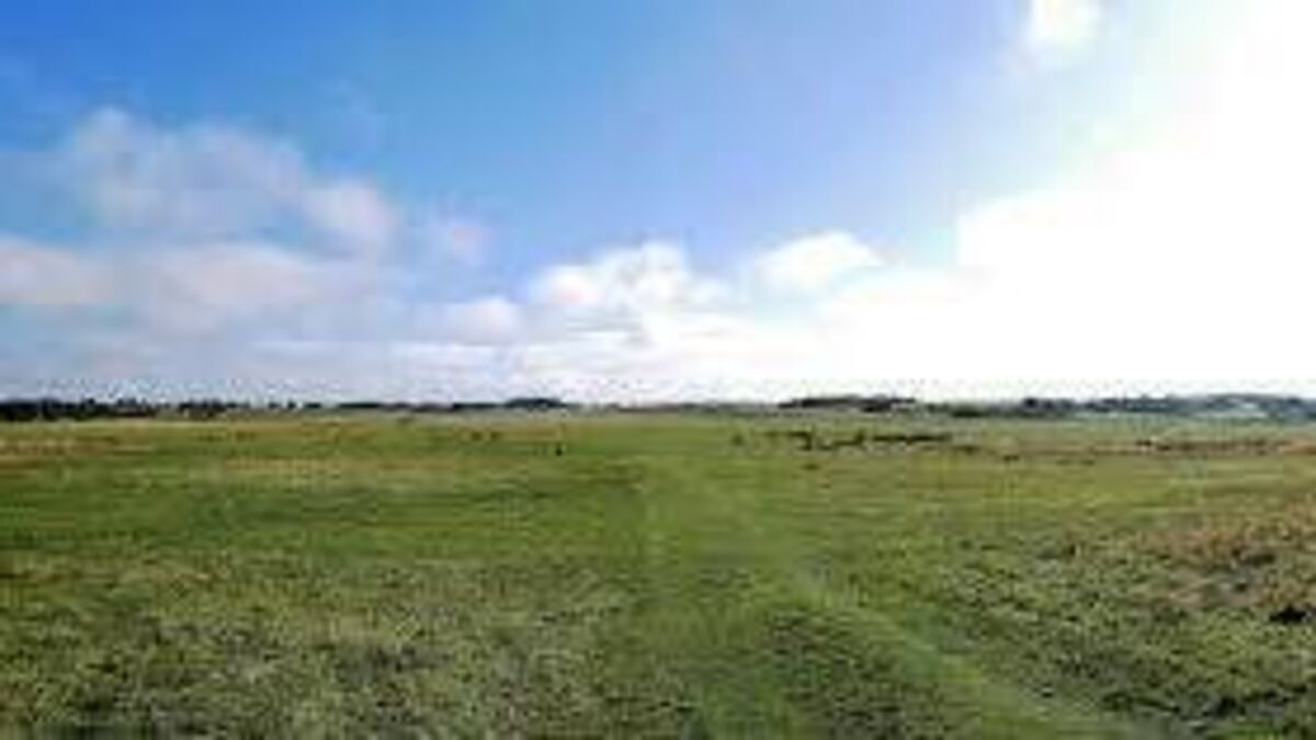 State plans management of Curragh as encampments move on