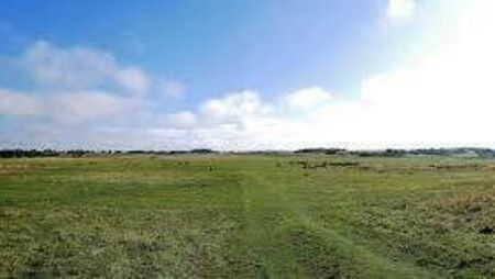 State plans management of Curragh as encampments move on