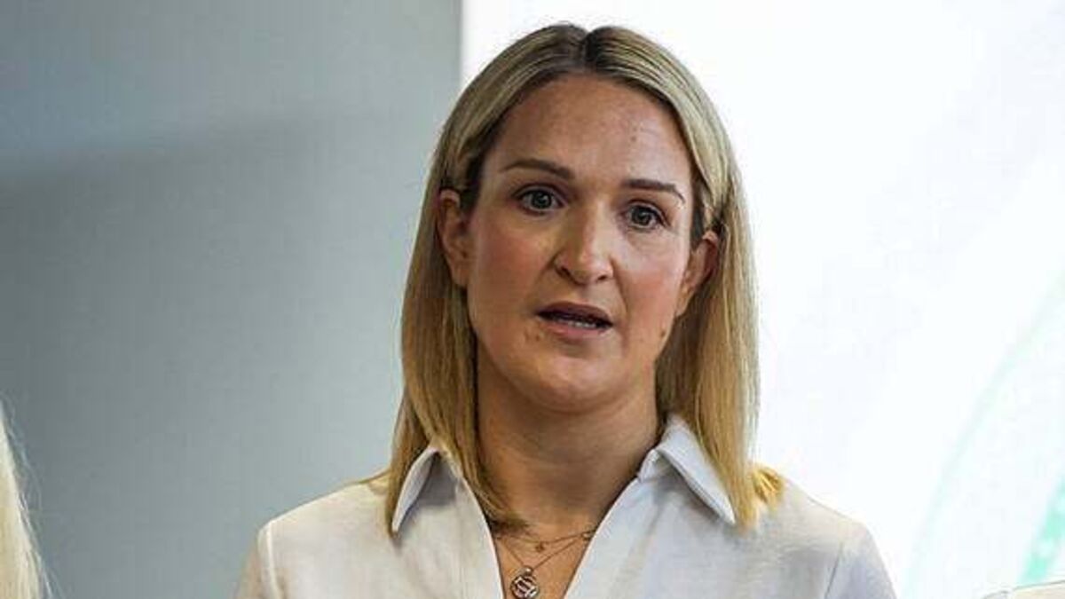 'Ireland has what it needs to deal with any threats during presidency' — McEntee