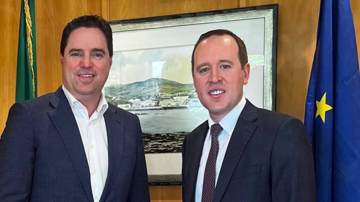 New one-off housing plan will 'support' people to build in Kildare