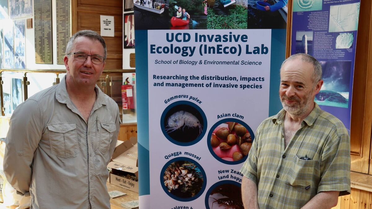 Kildare workshops a wake-up call on invasive species