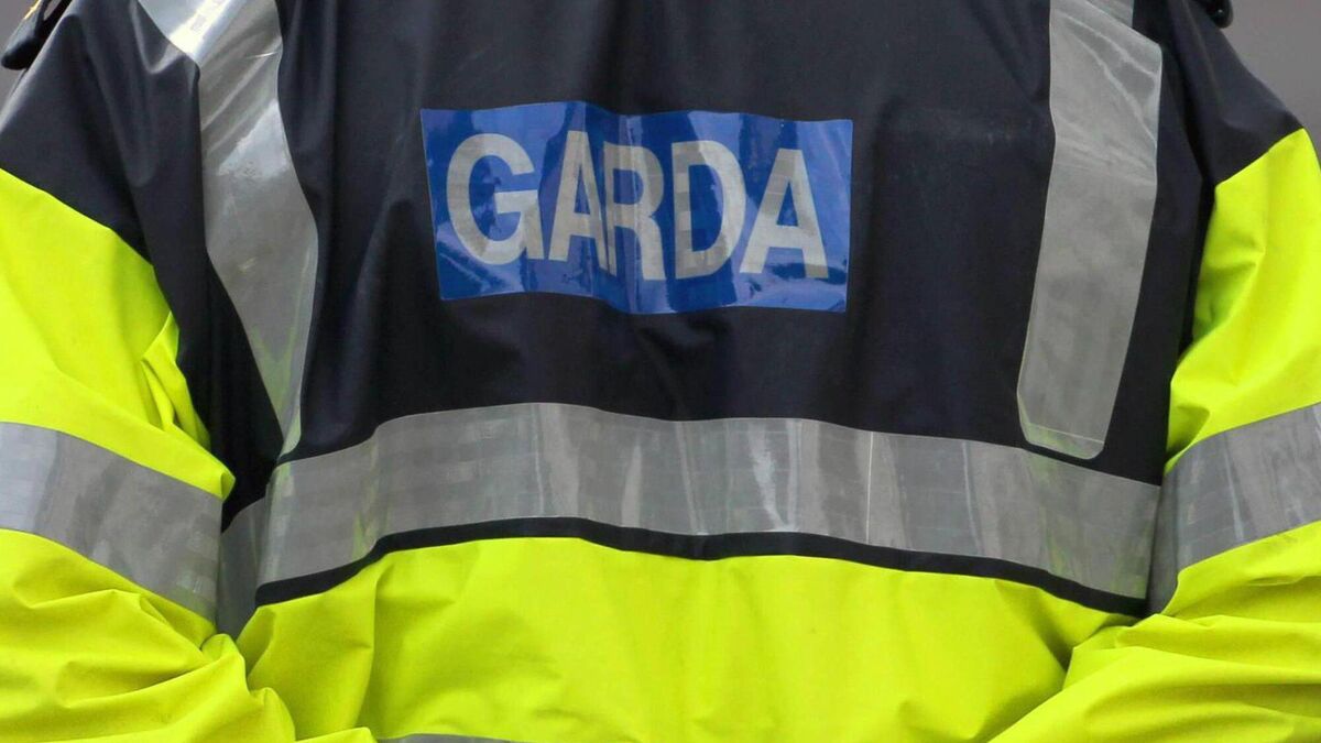 Man (30s) arrested after assaulting three gardaí in Kildare