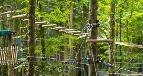 New forest adventure park opens in Kildare