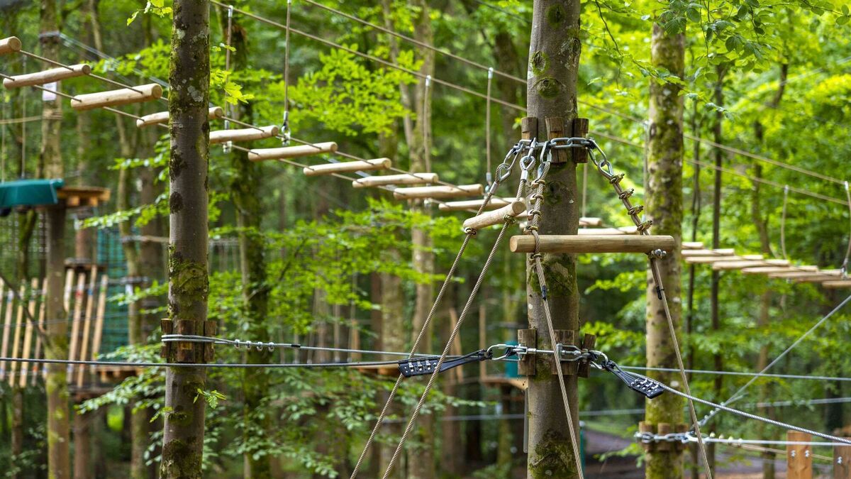 New forest adventure park opens in Kildare